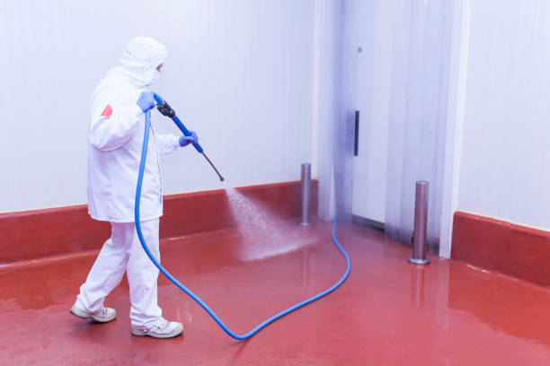 Best Driveway Pressure Washing  in National Park, NJ